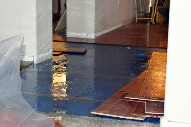 Professional Burst Pipe Cleanup technician working in Hayward, WI